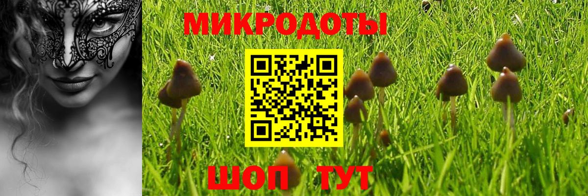 Псилоцибиновые грибы ЛСД  Вход с VPN  Пугачёв 